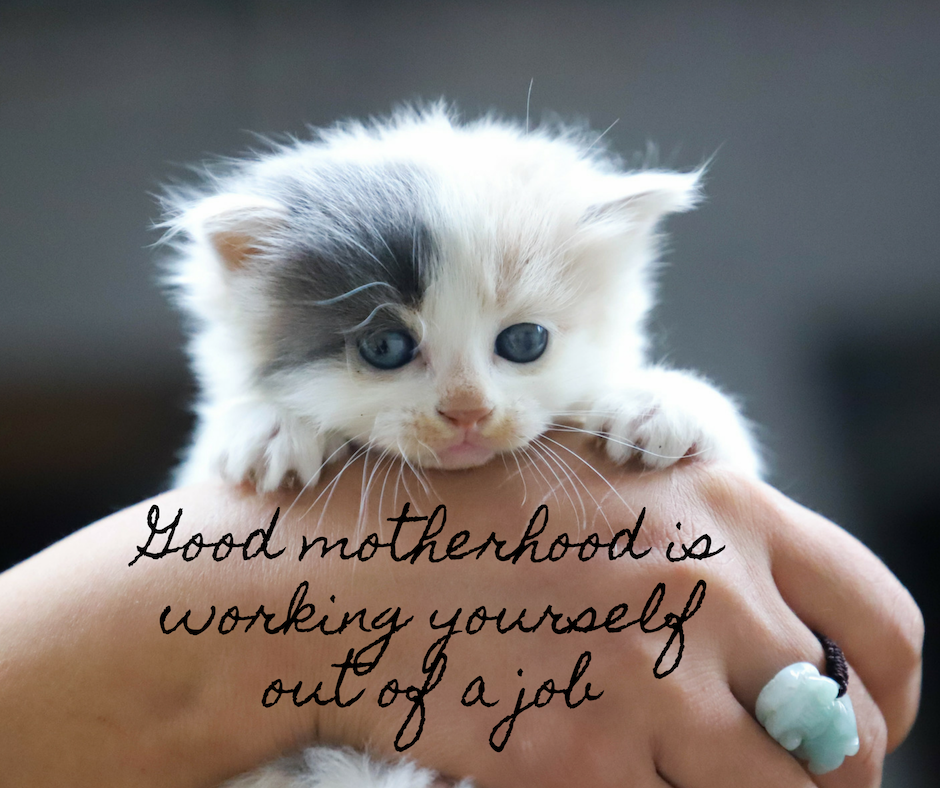 The price of perfection