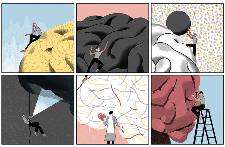 Train your Brain