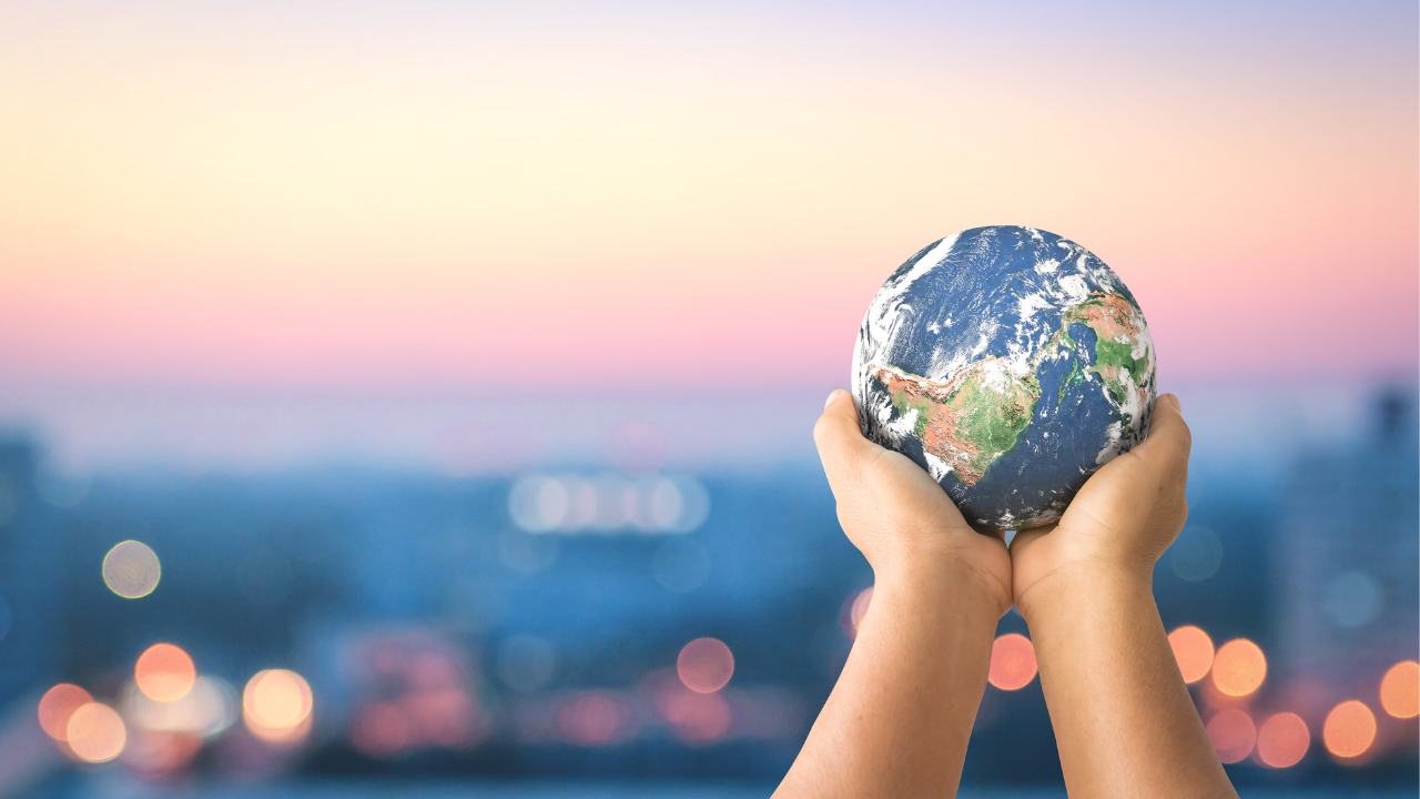 Knitting and Sustainability