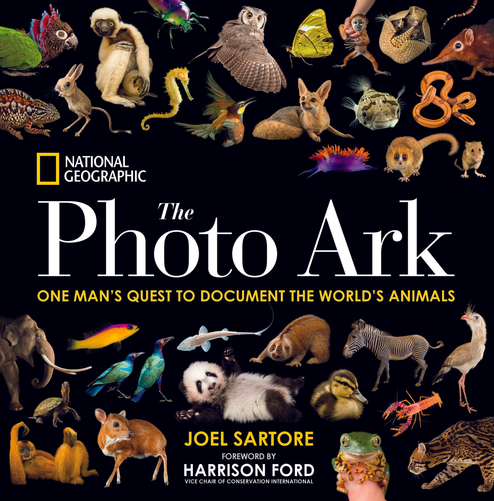 Comparison - thief of joy?