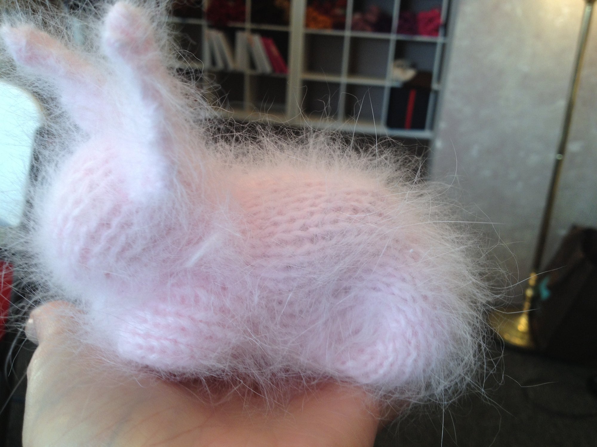 Angora Bunnies