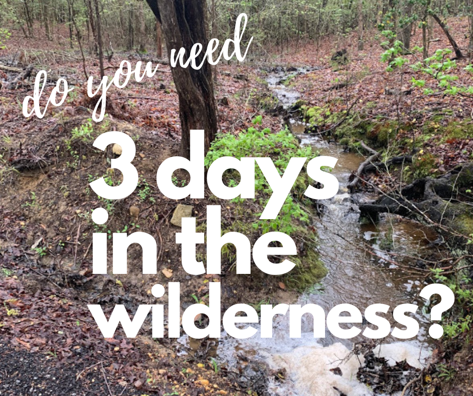 Three days in the wilderness
