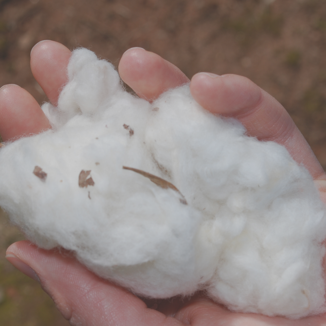 6 Things to know about cotton yarn - Crazy for Ewe