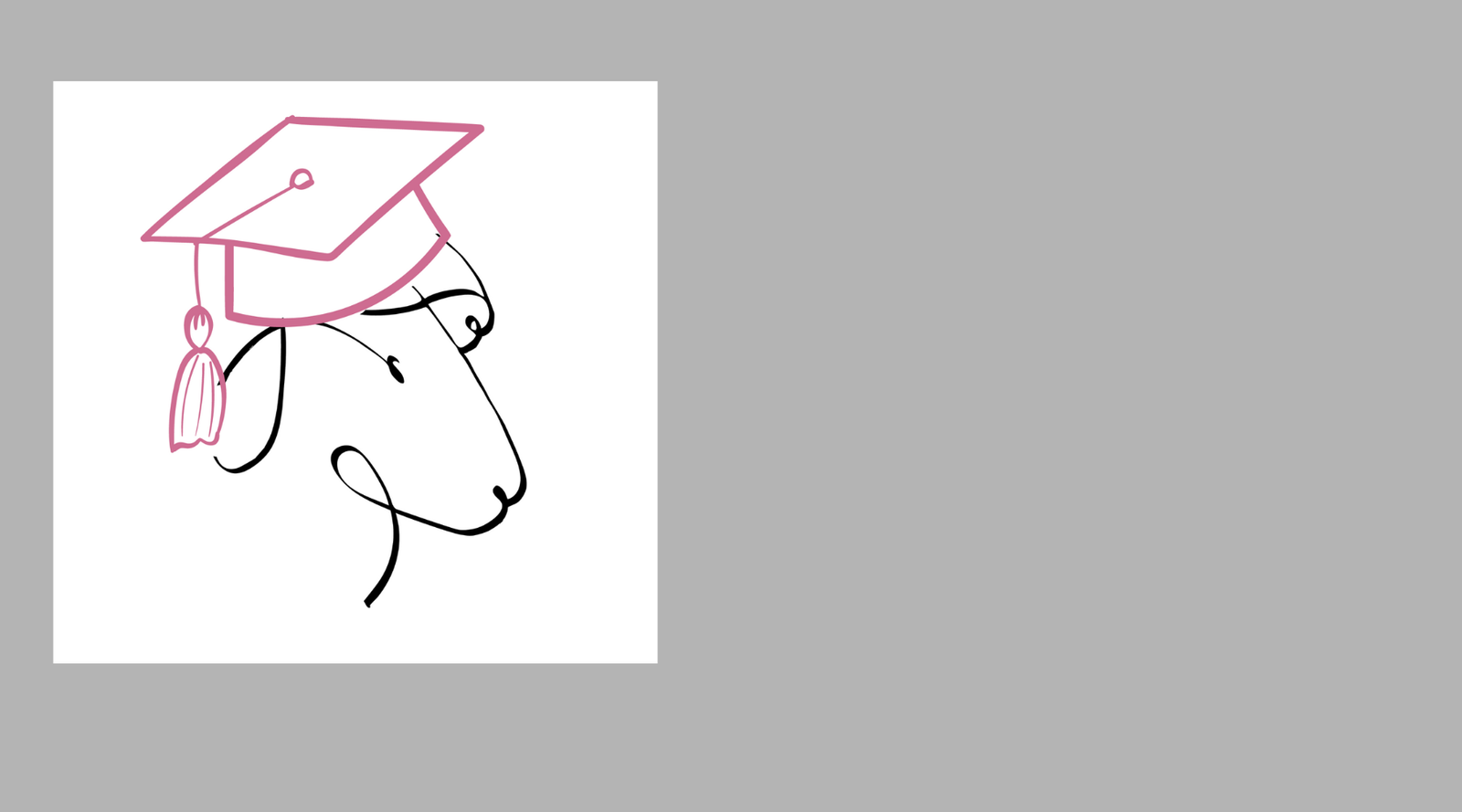 New Year, New Foundations