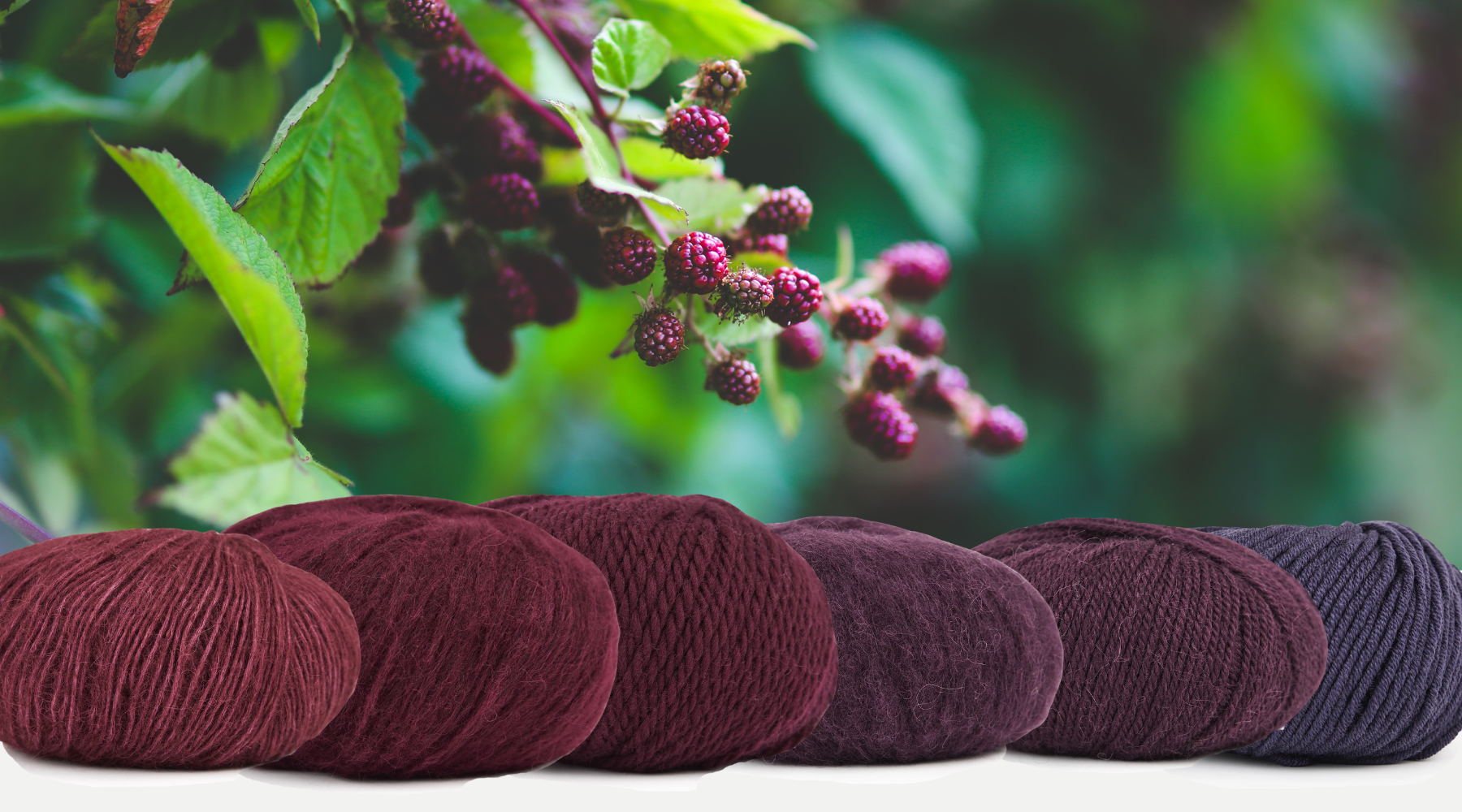 The Power of color : Introducing Mode AW 25-26