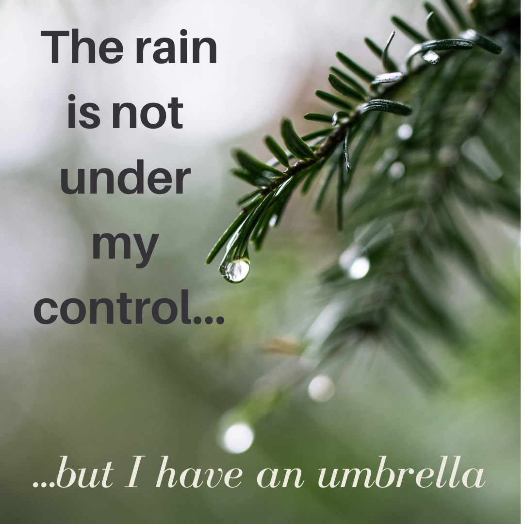 Rainy days and Mondays