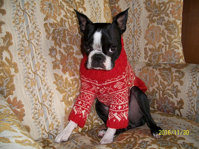 Arne & Carlos Favorite Designs