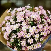 Liberty Bouquet Aster Kit (XL and 2XL)