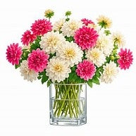Liberty Bouquet - Dahlia Kit (XL and 2XL)