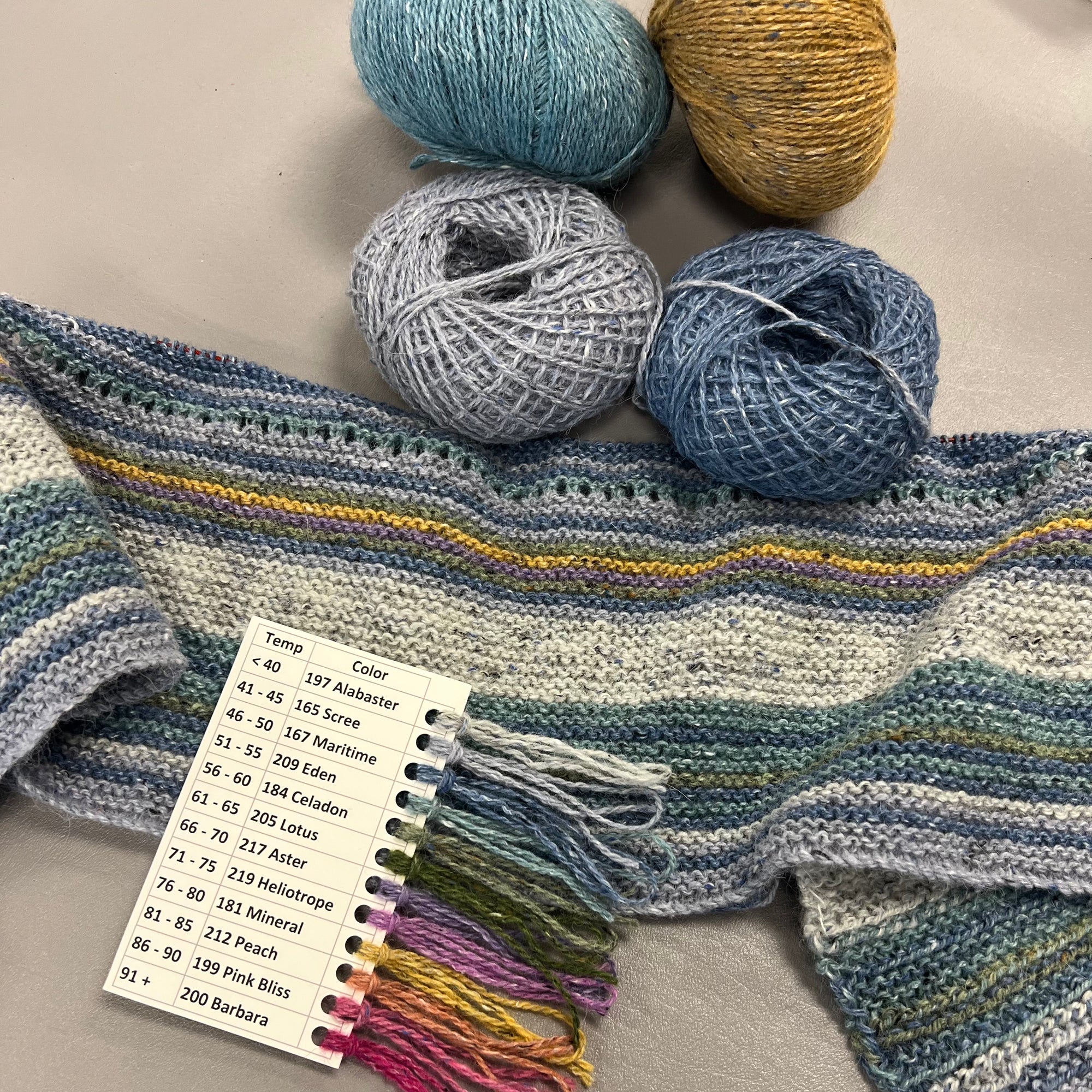 Temperature Blanket Starter Kit 2025