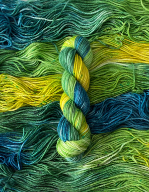 Assam Worsted