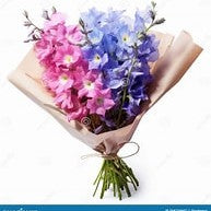 Liberty Bouquet - Larkspur (XL and 2XL)
