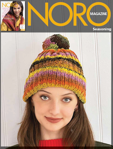 Noro Seasoning Hat Pattern