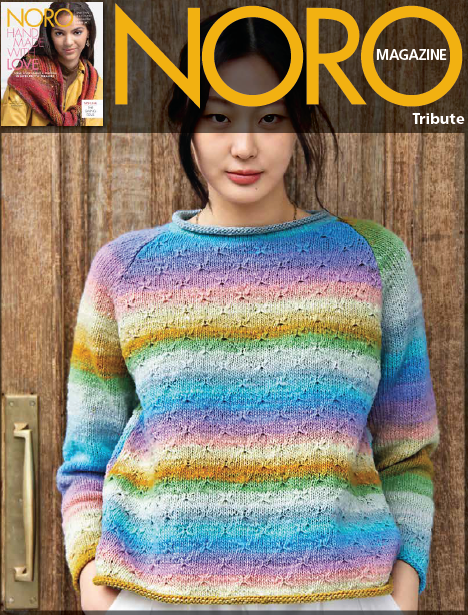 Noro Tribute Sweater Pattern
