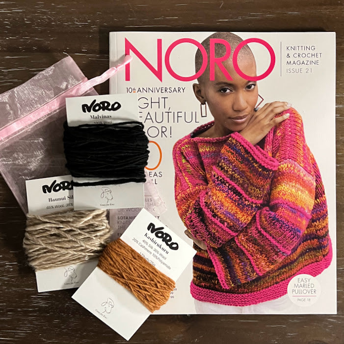 Noro FW2022 new yarn tasting